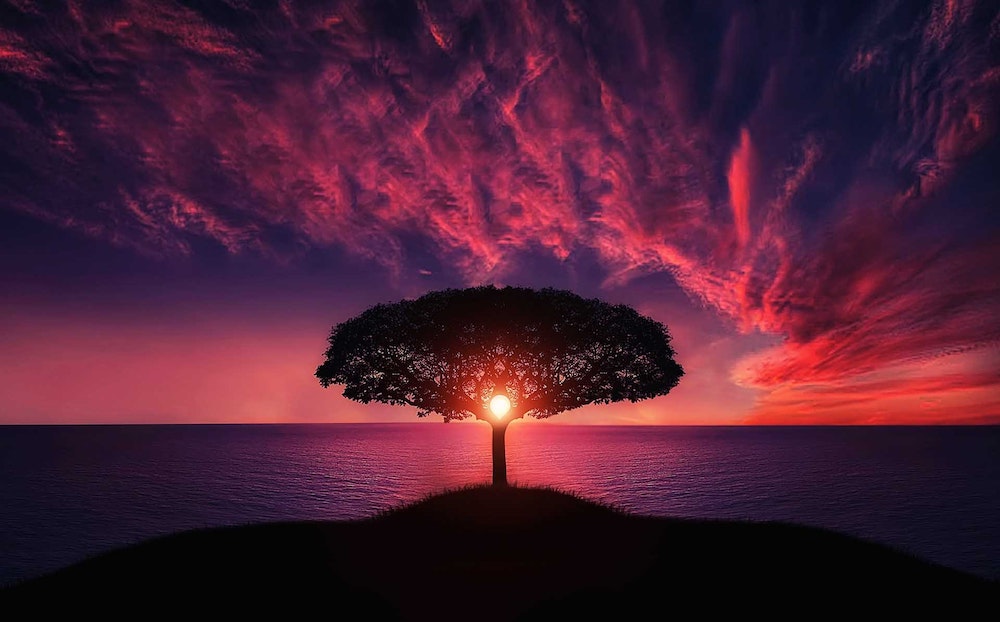 Defining your Purpose